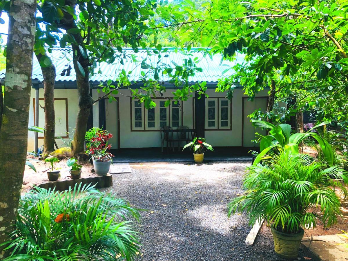 Drongo Place Dickwella Exterior photo
